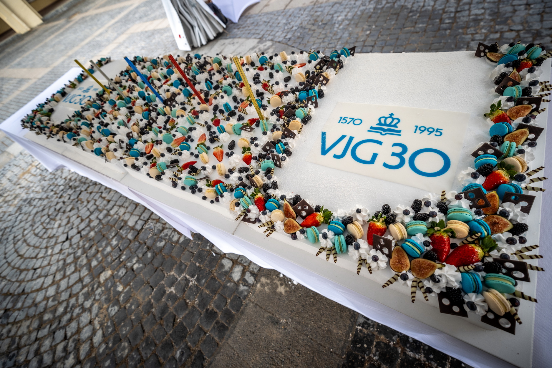 Gimtadienio tortas VJG 30